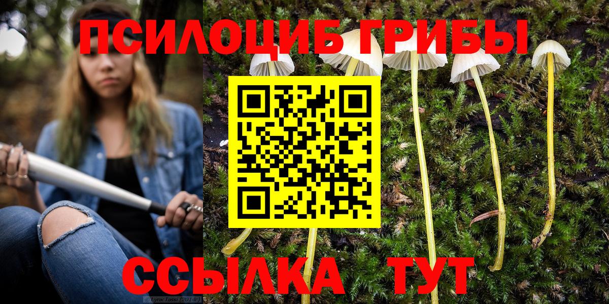 Железноводск  ГАШ  Вход с VPN  Меф МЯУ МЯУ   A-PVP СОЛЬ   Канабис  COCAIN 