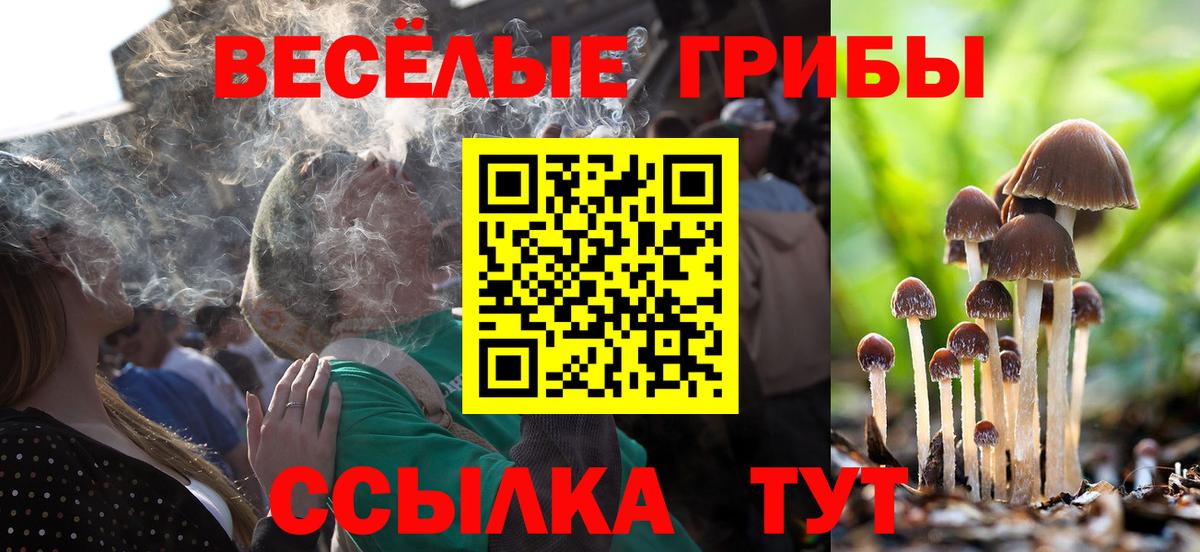 Псилоцибиновые грибы ЛСД  Вход с VPN  Железноводск  Галлюциногенные грибы мухоморы 