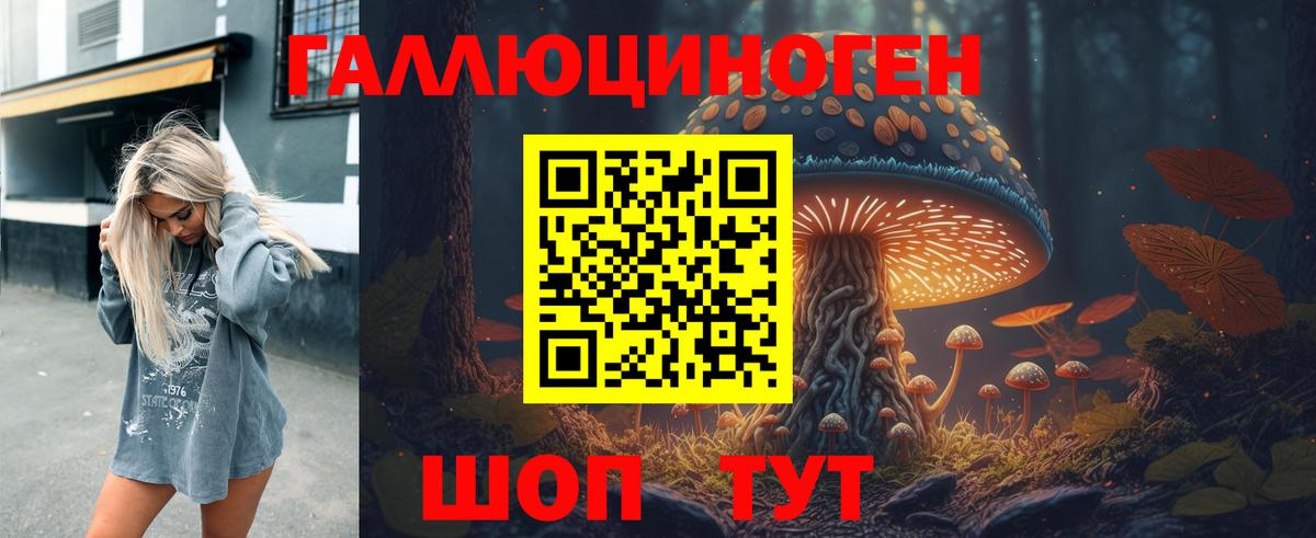 Псилоцибиновые грибы Psilocybine cubensis Железноводск